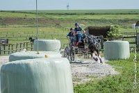 012 D103 - DRESSAGE -ATTELAGE LOUVRES - MARATHON - 28052017-ATE 1991 : 2017, 28 mAI 2017, Concours ATTELAGE 2017, D103, MARATHON, Obstacle 3