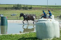 013 D103 - DRESSAGE -ATTELAGE LOUVRES - MARATHON - 28052017-ATE 1992 : 2017, 28 mAI 2017, Concours ATTELAGE 2017, D103, MARATHON, Obstacle 3