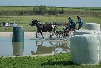 014 D103 - DRESSAGE -ATTELAGE LOUVRES - MARATHON - 28052017-ATE 1993 : 2017, 28 mAI 2017, Concours ATTELAGE 2017, D103, MARATHON, Obstacle 3