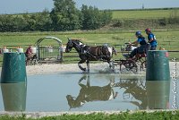 015 D103 - DRESSAGE -ATTELAGE LOUVRES - MARATHON - 28052017-ATE 1994 : 2017, 28 mAI 2017, Concours ATTELAGE 2017, D103, MARATHON, Obstacle 3