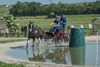 016 D103 - DRESSAGE -ATTELAGE LOUVRES - MARATHON - 28052017-ATE 1995 : 2017, 28 mAI 2017, Concours ATTELAGE 2017, D103, MARATHON, Obstacle 3