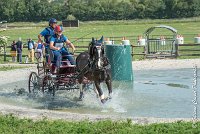 018 D103 - DRESSAGE -ATTELAGE LOUVRES - MARATHON - 28052017-ATE 1997 : 2017, 28 mAI 2017, Concours ATTELAGE 2017, D103, MARATHON, Obstacle 3