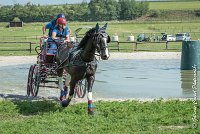 019 D103 - DRESSAGE -ATTELAGE LOUVRES - MARATHON - 28052017-ATE 1998 : 2017, 28 mAI 2017, Concours ATTELAGE 2017, D103, MARATHON, Obstacle 3