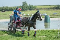 020 D103 - DRESSAGE -ATTELAGE LOUVRES - MARATHON - 28052017-ATE 1999 : 2017, 28 mAI 2017, Concours ATTELAGE 2017, D103, MARATHON, Obstacle 3