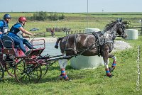 021 D103 - DRESSAGE -ATTELAGE LOUVRES - MARATHON - 28052017-ATE 2000 : 2017, 28 mAI 2017, Concours ATTELAGE 2017, D103, MARATHON, Obstacle 3