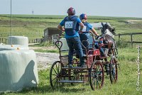 022 D103 - DRESSAGE -ATTELAGE LOUVRES - MARATHON - 28052017-ATE 2001 : 2017, 28 mAI 2017, Concours ATTELAGE 2017, D103, MARATHON, Obstacle 3