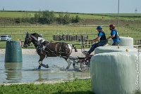 023 D103 - DRESSAGE -ATTELAGE LOUVRES - MARATHON - 28052017-ATE 2002 : 2017, 28 mAI 2017, Concours ATTELAGE 2017, D103, MARATHON, Obstacle 3