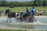 024 D103 - DRESSAGE -ATTELAGE LOUVRES - MARATHON - 28052017-ATE 2003 : 2017, 28 mAI 2017, Concours ATTELAGE 2017, D103, MARATHON, Obstacle 3