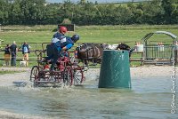 025 D103 - DRESSAGE -ATTELAGE LOUVRES - MARATHON - 28052017-ATE 2004 : 2017, 28 mAI 2017, Concours ATTELAGE 2017, D103, MARATHON, Obstacle 3