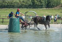 026 D103 - DRESSAGE -ATTELAGE LOUVRES - MARATHON - 28052017-ATE 2005 : 2017, 28 mAI 2017, Concours ATTELAGE 2017, D103, MARATHON, Obstacle 3