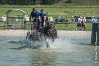 028 D103 - DRESSAGE -ATTELAGE LOUVRES - MARATHON - 28052017-ATE 2007 : 2017, 28 mAI 2017, Concours ATTELAGE 2017, D103, MARATHON, Obstacle 3