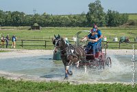 030 D103 - DRESSAGE -ATTELAGE LOUVRES - MARATHON - 28052017-ATE 2009 : 2017, 28 mAI 2017, Concours ATTELAGE 2017, D103, MARATHON, Obstacle 3