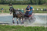 031 D103 - DRESSAGE -ATTELAGE LOUVRES - MARATHON - 28052017-ATE 2010 : 2017, 28 mAI 2017, Concours ATTELAGE 2017, D103, MARATHON, Obstacle 3