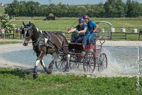 032 D103 - DRESSAGE -ATTELAGE LOUVRES - MARATHON - 28052017-ATE 2011 : 2017, 28 mAI 2017, Concours ATTELAGE 2017, D103, MARATHON, Obstacle 3