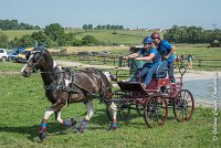 033 D103 - DRESSAGE -ATTELAGE LOUVRES - MARATHON - 28052017-ATE 2012 : 2017, 28 mAI 2017, Concours ATTELAGE 2017, D103, MARATHON, Obstacle 3