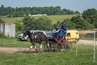 034 D103 - DRESSAGE -ATTELAGE LOUVRES - MARATHON - 28052017-ATE 2021 : 2017, 28 mAI 2017, Concours ATTELAGE 2017, D103, MARATHON, Obstacle 4