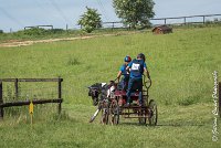 035 D103 - DRESSAGE -ATTELAGE LOUVRES - MARATHON - 28052017-ATE 2022 : 2017, 28 mAI 2017, Concours ATTELAGE 2017, D103, MARATHON, Obstacle 4