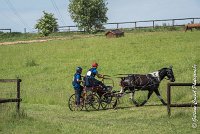 036 D103 - DRESSAGE -ATTELAGE LOUVRES - MARATHON - 28052017-ATE 2023 : 2017, 28 mAI 2017, Concours ATTELAGE 2017, D103, MARATHON, Obstacle 4