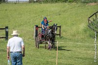 037 D103 - DRESSAGE -ATTELAGE LOUVRES - MARATHON - 28052017-ATE 2024 : 2017, 28 mAI 2017, Concours ATTELAGE 2017, D103, MARATHON, Obstacle 4