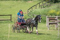 038 D103 - DRESSAGE -ATTELAGE LOUVRES - MARATHON - 28052017-ATE 2025 : 2017, 28 mAI 2017, Concours ATTELAGE 2017, D103, MARATHON, Obstacle 4