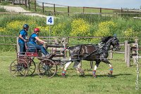 039 D103 - DRESSAGE -ATTELAGE LOUVRES - MARATHON - 28052017-ATE 2026 : 2017, 28 mAI 2017, Concours ATTELAGE 2017, D103, MARATHON, Obstacle 4