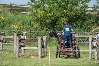 040 D103 - DRESSAGE -ATTELAGE LOUVRES - MARATHON - 28052017-ATE 2027 : 2017, 28 mAI 2017, Concours ATTELAGE 2017, D103, MARATHON, Obstacle 4