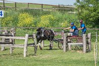 041 D103 - DRESSAGE -ATTELAGE LOUVRES - MARATHON - 28052017-ATE 2028 : 2017, 28 mAI 2017, Concours ATTELAGE 2017, D103, MARATHON, Obstacle 4