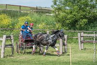 042 D103 - DRESSAGE -ATTELAGE LOUVRES - MARATHON - 28052017-ATE 2029 : 2017, 28 mAI 2017, Concours ATTELAGE 2017, D103, MARATHON, Obstacle 4