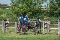 043 D103 - DRESSAGE -ATTELAGE LOUVRES - MARATHON - 28052017-ATE 2030 : 2017, 28 mAI 2017, Concours ATTELAGE 2017, D103, MARATHON, Obstacle 4