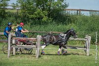 044 D103 - DRESSAGE -ATTELAGE LOUVRES - MARATHON - 28052017-ATE 2031 : 2017, 28 mAI 2017, Concours ATTELAGE 2017, D103, MARATHON, Obstacle 4