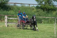 045 D103 - DRESSAGE -ATTELAGE LOUVRES - MARATHON - 28052017-ATE 2032 : 2017, 28 mAI 2017, Concours ATTELAGE 2017, D103, MARATHON, Obstacle 4