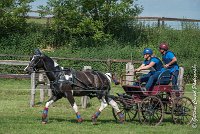 046 D103 - DRESSAGE -ATTELAGE LOUVRES - MARATHON - 28052017-ATE 2033 : 2017, 28 mAI 2017, Concours ATTELAGE 2017, D103, MARATHON, Obstacle 4