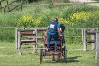 047 D103 - DRESSAGE -ATTELAGE LOUVRES - MARATHON - 28052017-ATE 2034 : 2017, 28 mAI 2017, Concours ATTELAGE 2017, D103, MARATHON, Obstacle 4