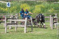 048 D103 - DRESSAGE -ATTELAGE LOUVRES - MARATHON - 28052017-ATE 2035 : 2017, 28 mAI 2017, Concours ATTELAGE 2017, D103, MARATHON, Obstacle 4