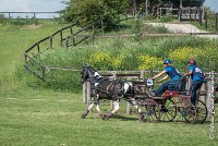 049 D103 - DRESSAGE -ATTELAGE LOUVRES - MARATHON - 28052017-ATE 2036 : 2017, 28 mAI 2017, Concours ATTELAGE 2017, D103, MARATHON, Obstacle 4