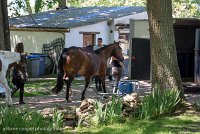 002 ECURIES LA GARENNE - FORET -GAL 0093 : 2017, 25 Mai 2017, Les écuries de la Garenne, Sortie forêt de Chantilly