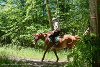 016 ECURIES LA GARENNE - FORET -GAL 0132 : 2017, 25 Mai 2017, Les écuries de la Garenne, Sortie forêt de Chantilly