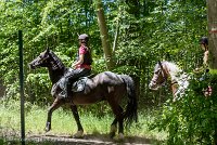 019 ECURIES LA GARENNE - FORET -GAL 0135 : 2017, 25 Mai 2017, Les écuries de la Garenne, Sortie forêt de Chantilly