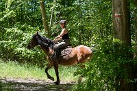 021 ECURIES LA GARENNE - FORET -GAL 0137 : 2017, 25 Mai 2017, Les écuries de la Garenne, Sortie forêt de Chantilly