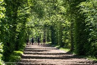 023 ECURIES LA GARENNE - FORET -GAL 0140 : 2017, 25 Mai 2017, GALOP, Les écuries de la Garenne, Sortie forêt de Chantilly