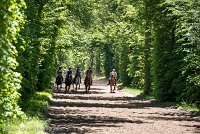 026 ECURIES LA GARENNE - FORET -GAL 0143 : 2017, 25 Mai 2017, GALOP, Les écuries de la Garenne, Sortie forêt de Chantilly