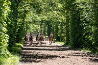 027 ECURIES LA GARENNE - FORET -GAL 0144 : 2017, 25 Mai 2017, GALOP, Les écuries de la Garenne, Sortie forêt de Chantilly