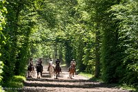 028 ECURIES LA GARENNE - FORET -GAL 0145 : 2017, 25 Mai 2017, GALOP, Les écuries de la Garenne, Sortie forêt de Chantilly