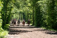 029 ECURIES LA GARENNE - FORET -GAL 0146 : 2017, 25 Mai 2017, GALOP, Les écuries de la Garenne, Sortie forêt de Chantilly