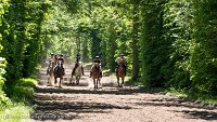 030 ECURIES LA GARENNE - FORET -GAL 0147 : 2017, 25 Mai 2017, GALOP, Les écuries de la Garenne, Sortie forêt de Chantilly