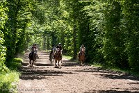 031 ECURIES LA GARENNE - FORET -GAL 0148 : 2017, 25 Mai 2017, GALOP, Les écuries de la Garenne, Sortie forêt de Chantilly