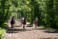 032 ECURIES LA GARENNE - FORET -GAL 0149 : 2017, 25 Mai 2017, GALOP, Les écuries de la Garenne, Sortie forêt de Chantilly