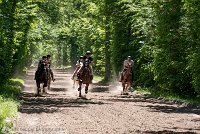 033 ECURIES LA GARENNE - FORET -GAL 0150 : 2017, 25 Mai 2017, GALOP, Les écuries de la Garenne, Sortie forêt de Chantilly