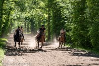 034 ECURIES LA GARENNE - FORET -GAL 0151 : 2017, 25 Mai 2017, GALOP, Les écuries de la Garenne, Sortie forêt de Chantilly