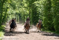 035 ECURIES LA GARENNE - FORET -GAL 0152 : 2017, 25 Mai 2017, GALOP, Les écuries de la Garenne, Sortie forêt de Chantilly